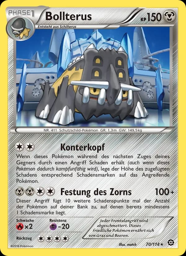Bollterus