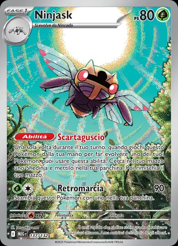 Ninjask
