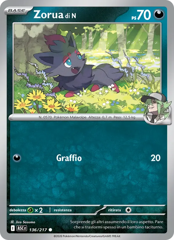 Zorua di N