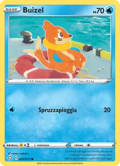 Buizel
