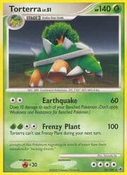 Torterra Lv.51