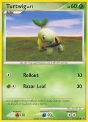 Turtwig Lv.11