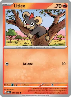 Litleo