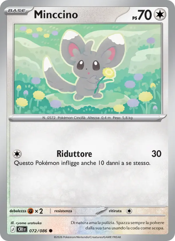 Minccino