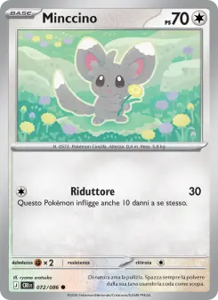 Minccino