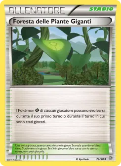 Foresta delle Piante Giganti
